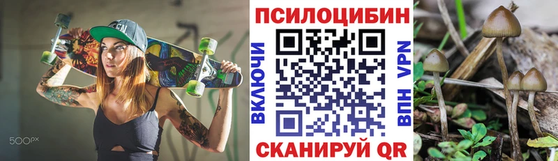 продажа наркотиков  Кимры  Псилоцибиновые грибы ЛСД 